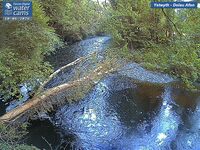 Camera at Dolau Afon