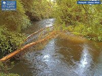 Camera at Dolau Afon