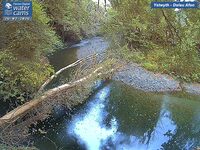 Camera at Dolau Afon
