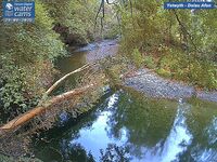 Camera at Dolau Afon