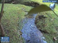 Camera at Ellerker