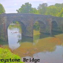 Camera at Bradstone