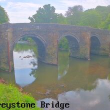 Camera at Bradstone