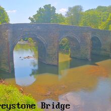 Camera at Bradstone