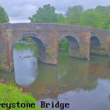 Camera at Bradstone