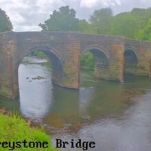 Camera at Bradstone