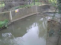 Camera at Frampton Cotterell