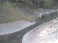 Camera at Frenchay