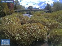 Camera at Haddington