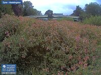 Camera at Haddington