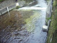 Camera at West Luccombe