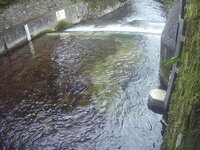 Camera at West Luccombe