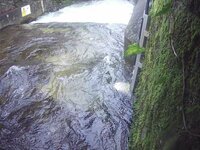 Camera at West Luccombe