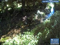 Camera at North Newbald
