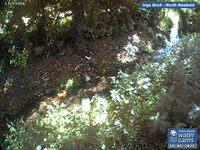 Camera at North Newbald
