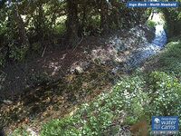 Camera at North Newbald