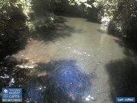 Camera at Lifton