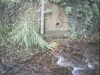 Camera at Porlock - Hawkcombe Stream