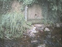 Camera at Porlock - Hawkcombe Stream