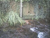 Camera at Porlock - Hawkcombe Stream