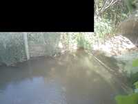 Camera at Swill Bridge