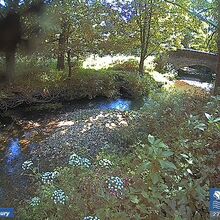 Camera at Sidbury