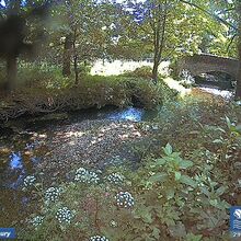 Camera at Sidbury