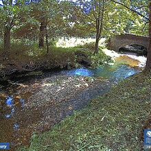 Camera at Sidbury