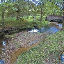 Camera at Sidbury