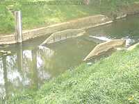 Camera at Somerton