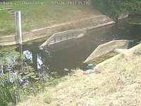 Camera at Somerton