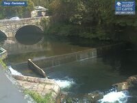 Camera at Tavistock