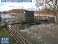 Camera at East Stoke