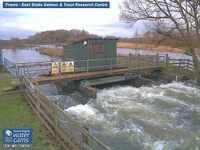 Camera at East Stoke