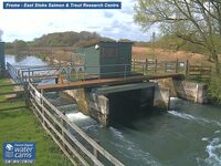 Camera at East Stoke