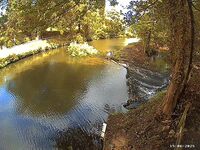 Camera at Egton Bridge