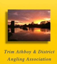 Our fishery, which includes the Trimblestown river,  runs on the Boyne from Scarriff Bridge down past Trim as far as Rathnally, where it joins up with the Bective waters.  