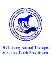 McTimoney is a technique designed to re-align the spinal column. It is named after John McTimoney who developed the technique. He trained as a human chiropractor in 1950 and then went on to develop the theory on animals. In the 1970's he started to teach his work to enable survival of the technique. Contact: Rebecca Thom (nee Rebecca Dale)