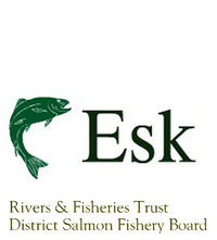 The Esk District Salmon Fishery Board and Esk Rivers &amp; Fisheries Trust work together to protect and improve the wild salmon and sea trout populations. The Esk District Salmon Fishery Board is a statutory organisation tasked with protecting and improving the salmon and sea trout fisheries of the River South Esk, River North Esk, River Bervie and River Lunan. The operations of the DSFB are financed by the owners of the salmon fishing rights in the district, you pay an annual levy based on the value of their fishing rights. The Esk Rivers and Fisheries Trust is a charitable organisation that raises funds to undertake habitat improvement works within the district. The Esk DSFB and Esk RandFT work closely together in the best interests of the fish.