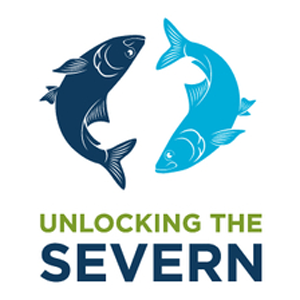 Unlocking the Severn